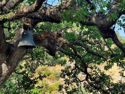 532022400_122137866728829246_204405529969121080_n