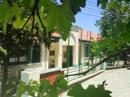 kpe_pedoulas_12